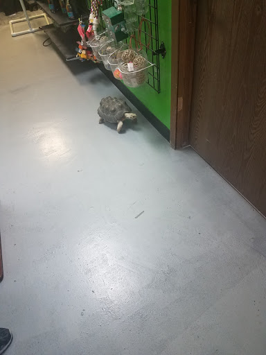 Pet Store «Parker Exotic Pets», reviews and photos, 17880 Cottonwood Dr, Parker, CO 80134, USA
