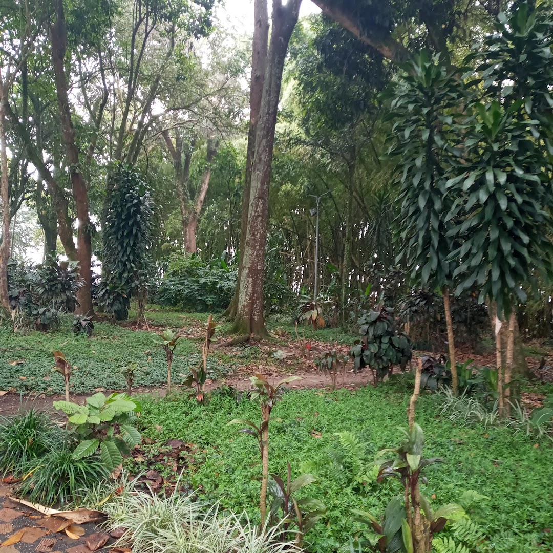 Parque El Bosque