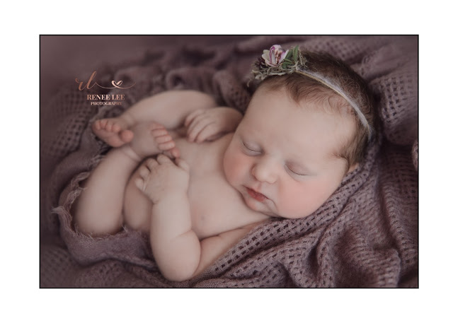 Comments and reviews of Renee Lee Photography