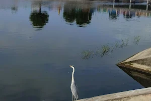 Savasar Lake image