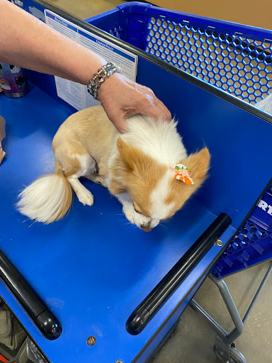 Pet Supply Store «PetSmart», reviews and photos, 1800 Evans Rd, Melbourne, FL 32904, USA