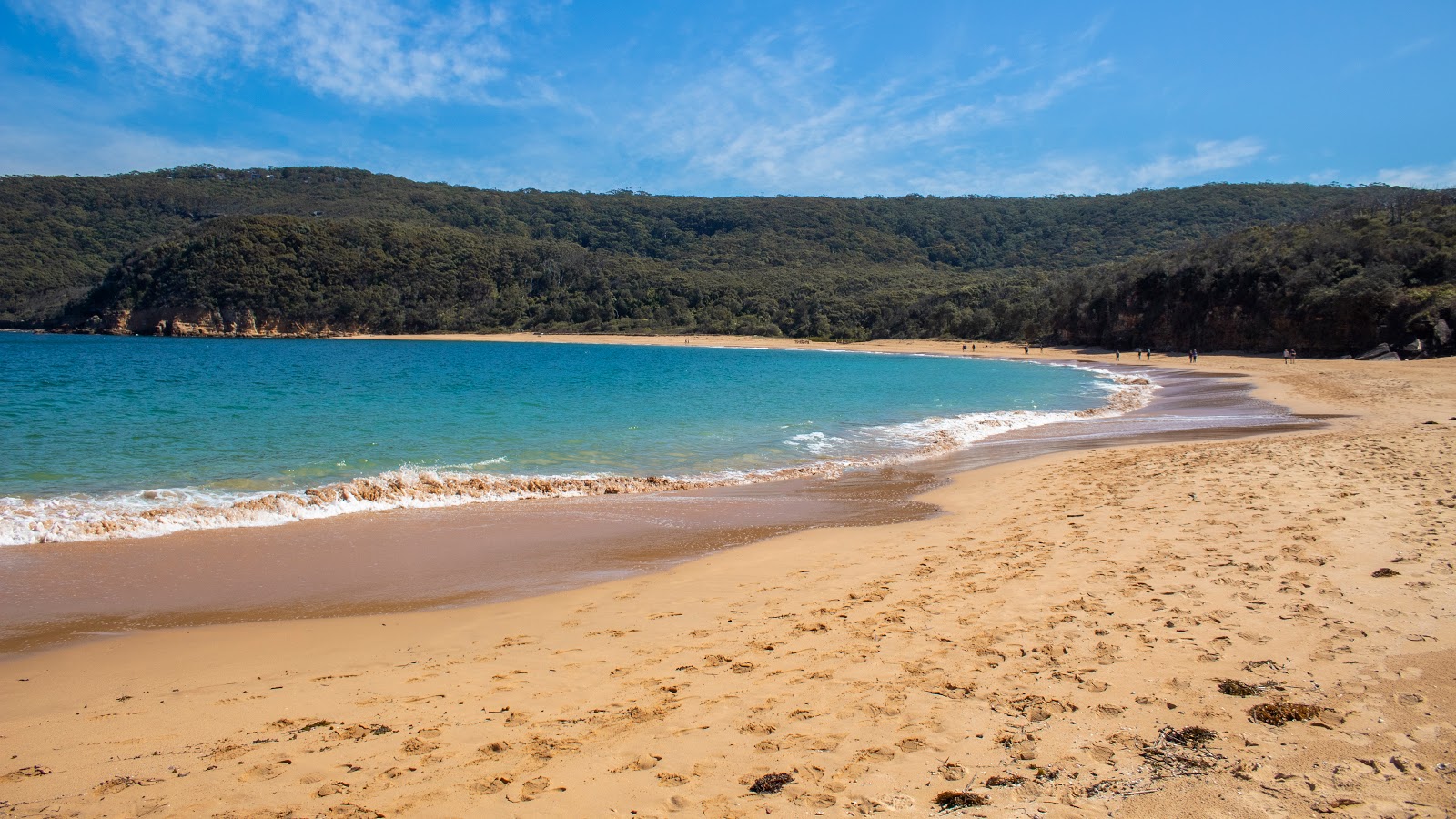 Zdjęcie Maitland Bay Beach z powierzchnią drobny beżowy piasek