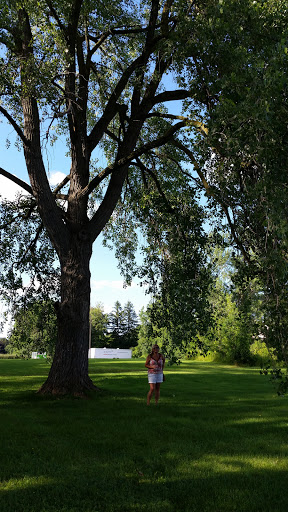 Hotel «DoubleTree by Hilton Hotel Syracuse», reviews and photos, 6301 NY-298, East Syracuse, NY 13057, USA