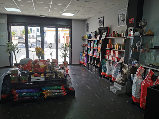 Maxkotas - Coria del Río