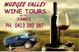 Mudgee Valley Wine Tours with James image