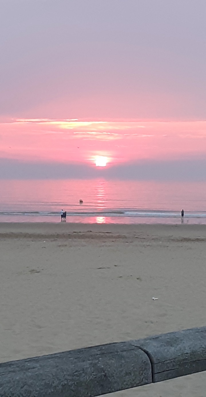 Photo n° 7 de l'avis de Emmanuelle.h fait le 10/08/2020 à 20:24