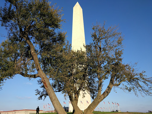 Monument «Washington Monument», reviews and photos, 2 15th St NW, Washington, DC 20024, USA