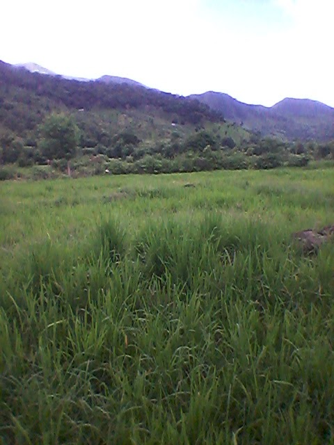 Wisata air terjun telaga isa Oi nca tongga