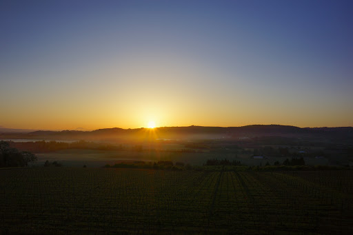 Winery «Patton Valley Vineyard», reviews and photos, 9449 SW Old Highway 47, Gaston, OR 97119, USA