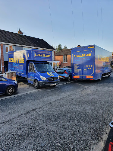 Reviews of C.Esdale and sons removals & storage in Belfast - Moving company