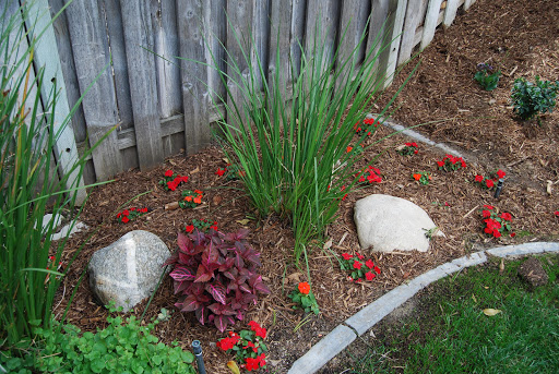 Vision Landscaping image