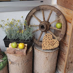 Photo n°4 de l'avis de Davide. fait le 20/08/2021 à 21:12 sur le  Bar Ristorante Dantercepies à Sëlva