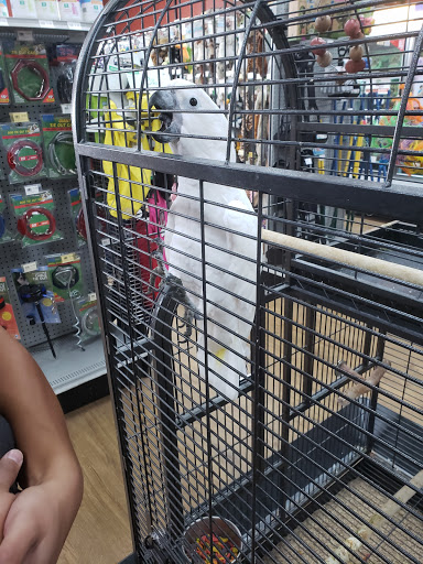 Pet Store «Petland Batavia», reviews and photos, 401 N Randall Rd, Batavia, IL 60510, USA