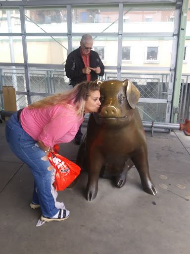 Tourist Attraction «Rachel the Piggy Bank», reviews and photos, Pike St, Seattle, WA 98101, USA
