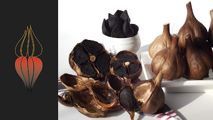 Black-Garlic - The Missing Touch