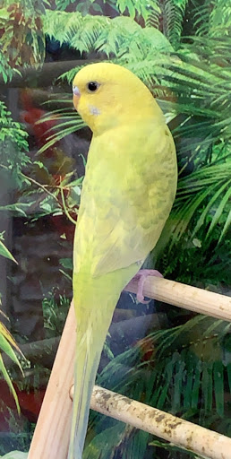 Pet Supply Store «Petco Animal Supplies», reviews and photos, 1007 Ten Rod Rd, North Kingstown, RI 02852, USA