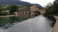 Pont Vieux du Restaurant L'estaminet à Millau - n°2