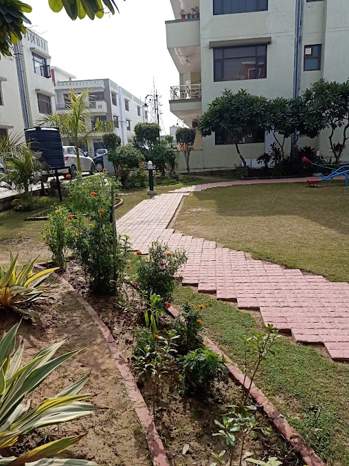 Google Maps image 31