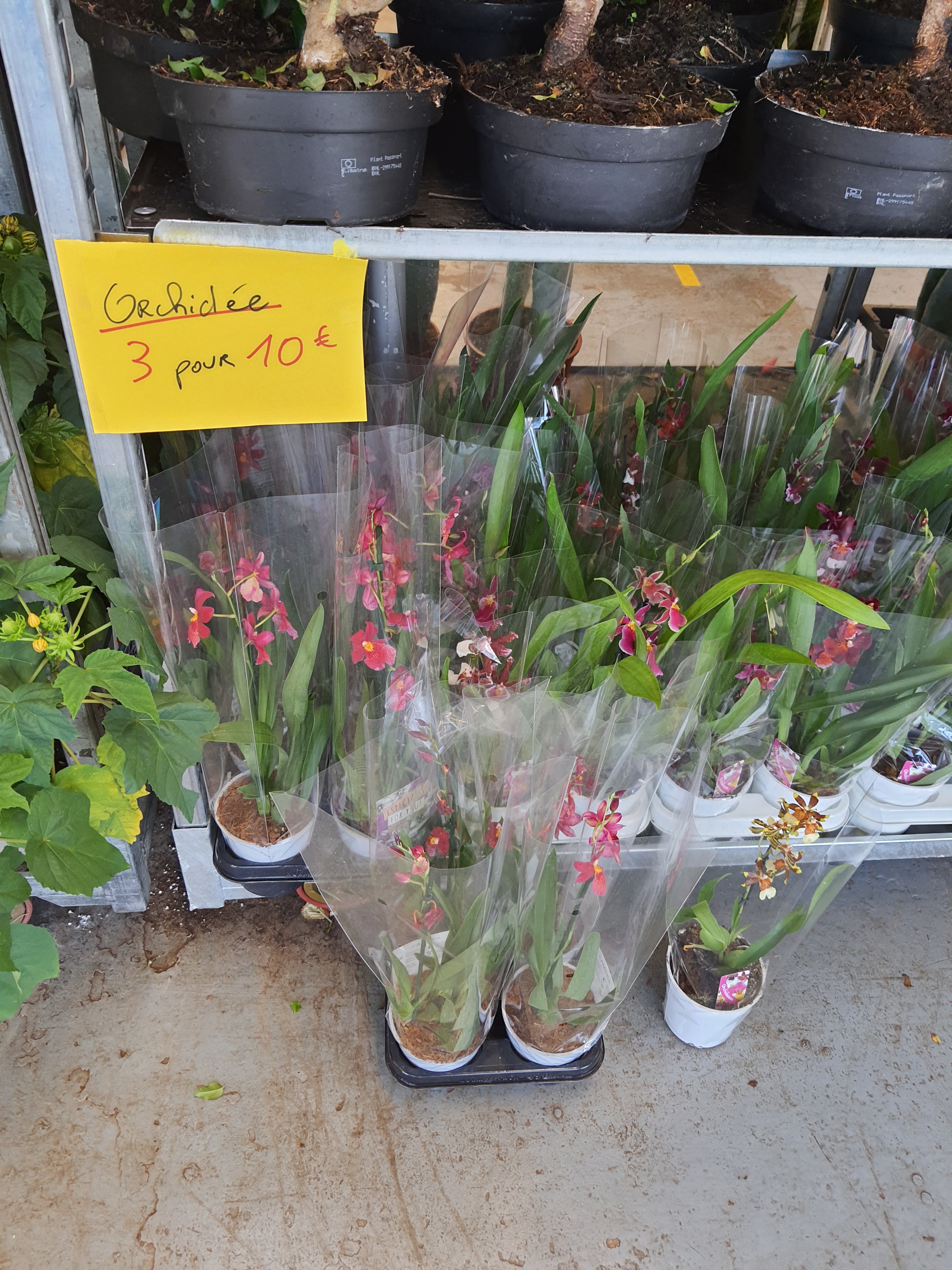 Photo n° 13 de l'avis de Rosine.l fait le 27/09/2020 à 12:31