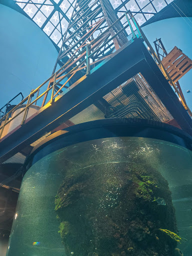 Zoo «Rainforest Pyramid», reviews and photos, 1 Hope Blvd, Galveston, TX 77554, USA