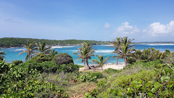 Pointe Tarare nudist Beach'in fotoğrafı imkanlar alanı
