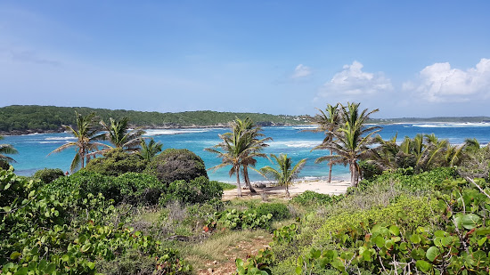 Pointe Tarare - Plage Naturiste