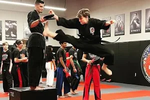 Champion Karate image