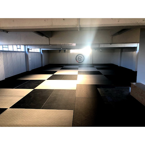 Combat Room Brazilian Jiu Jitsu Vanderson Pires - Gym