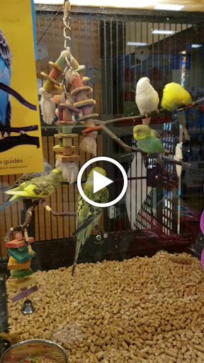 Pet Supply Store «PetSmart», reviews and photos, 976 IL-59, Aurora, IL 60504, USA