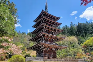 Seiryū-ji Temple image