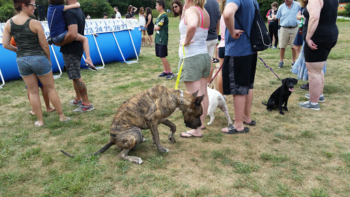 Recreation Center «Bucks Mill Recreation Area», reviews and photos, 137 Bucks Mill Rd, Colts Neck, NJ 07722, USA