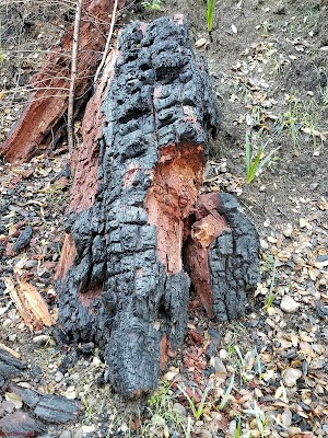 Shiloh Ranch Regional Park - photo 20