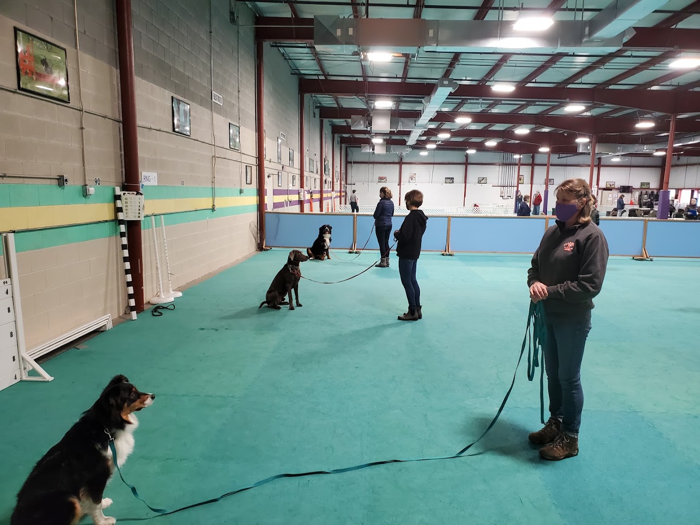 Car-Dun-Al Dog Obedience Training Club