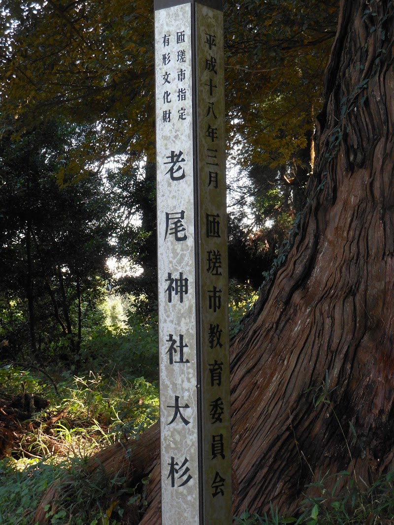 老尾神社大杉(市指定天然記念物)