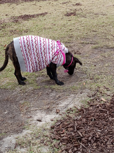 Park «Al Helms Dog Park», reviews and photos, 1022 Balboa Ave, Panama City, FL 32401, USA