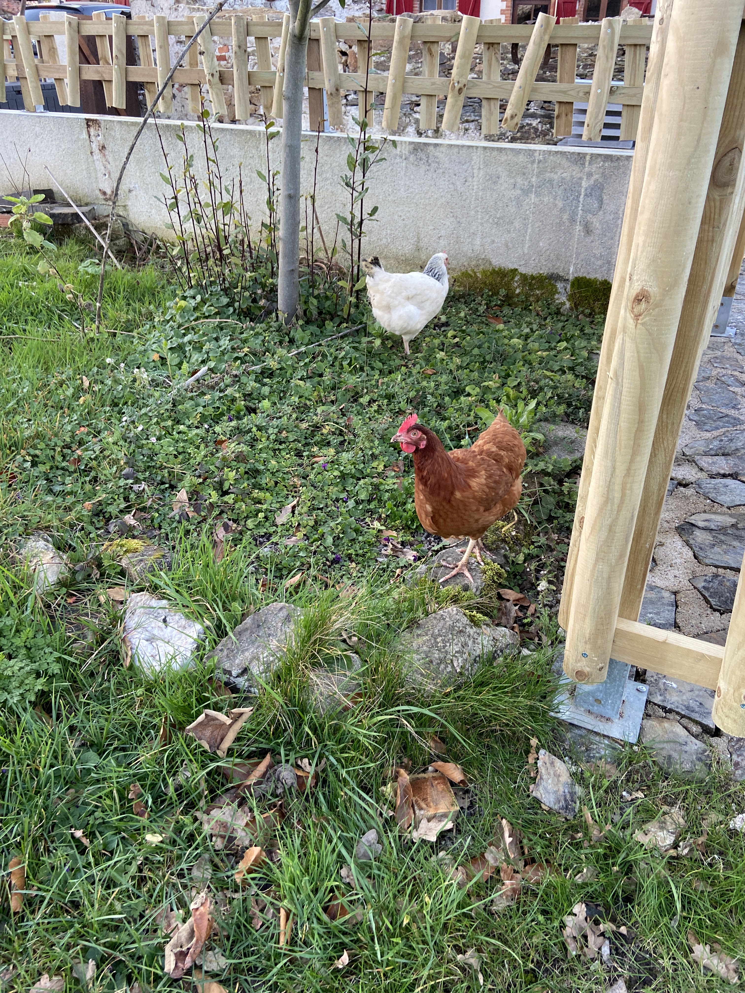 Photo n° 1 de l'avis de Maud.U fait le 15/02/2022 à 22:21