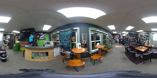 Tobacco Shop «Knuckleheads Tobacco & Gifts», reviews and photos, 550 State St, Madison, WI 53703, USA