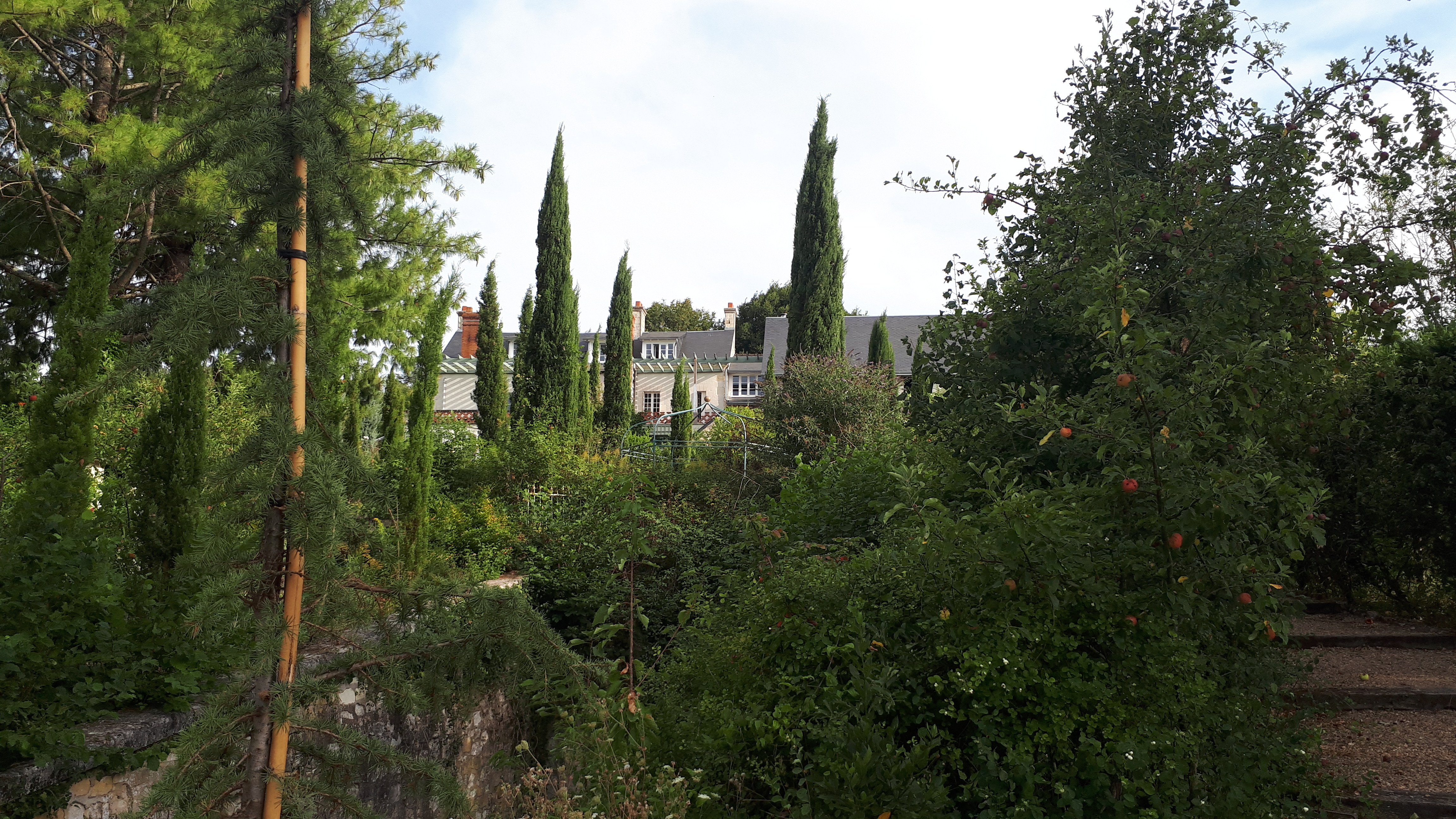 Photo n° 7 de l'avis de Gilbert.R fait le 21/08/2022 à 20:43