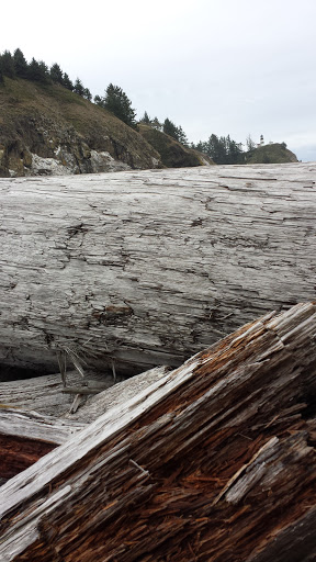 Historical Place «Lewis and Clark National Historical Park», reviews and photos, 92343 Fort Clatsop Rd, Astoria, OR 97103, USA