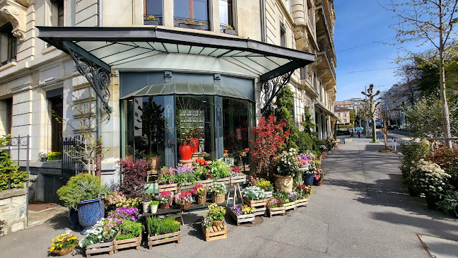 Rezensionen über Fleuriste in Lausanne - Blumengeschäft