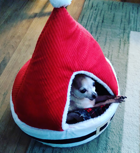 Pet Supply Store «EarthWise Pet Supply & Grooming», reviews and photos, 245 Fries Mill Rd, Blackwood, NJ 08012, USA