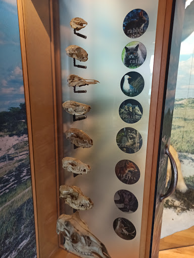 Natural History Museum «South Fork Natural History Museum & Nature Center», reviews and photos, 377 Bridgehampton-Sag Harbor Turnpike, Bridgehampton, NY 11932, USA