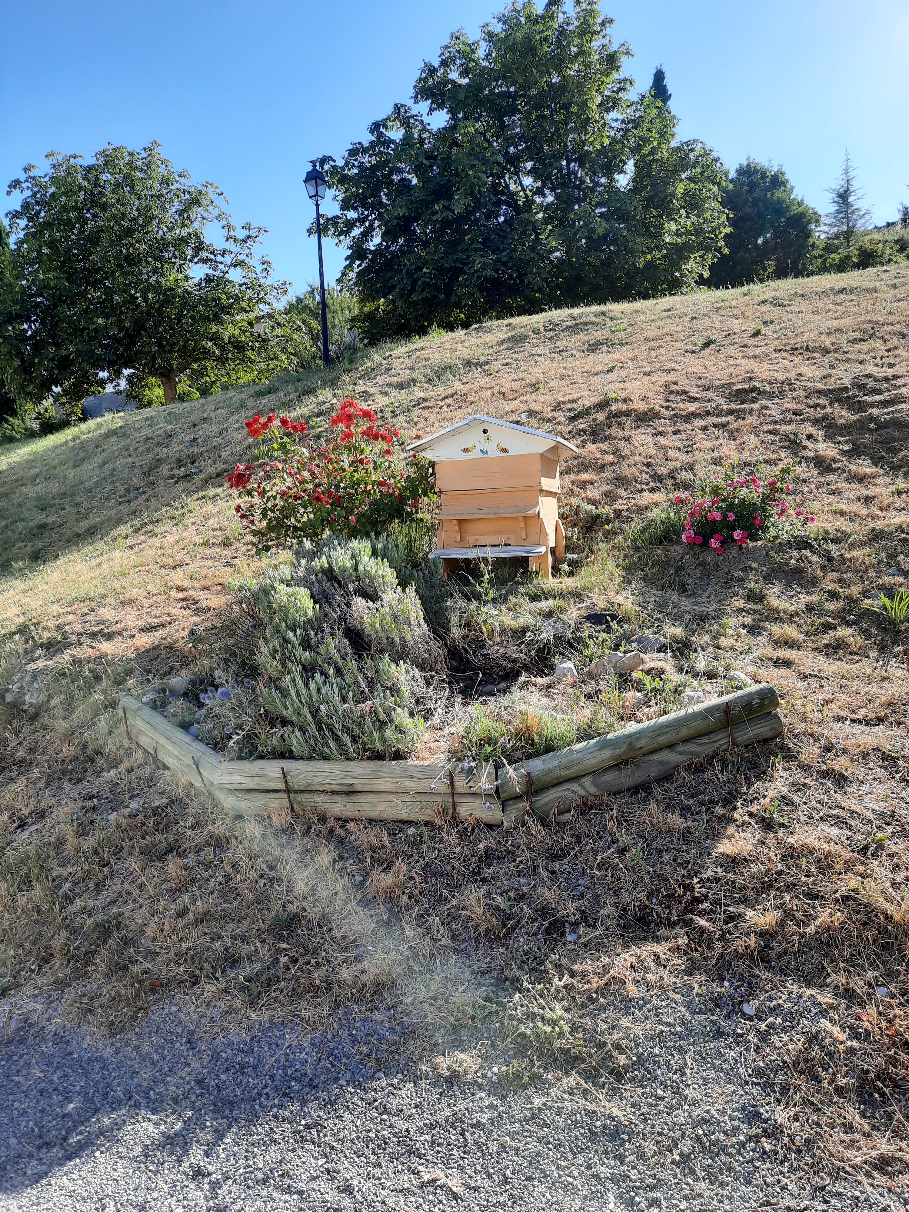 Photo n° 15 de l'avis de Agnes.a fait le 11/07/2021 à 20:20