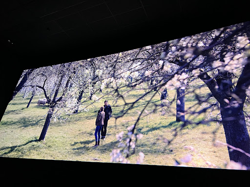 Movie Theater «Showcase Cinemas North Attleboro», reviews and photos, 640 S Washington St, North Attleborough, MA 02760, USA