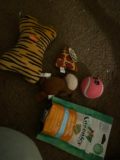 Pet Supply Store «Baltimore Pet Shoppe», reviews and photos, 4532 Baltimore Ave, Philadelphia, PA 19143, USA