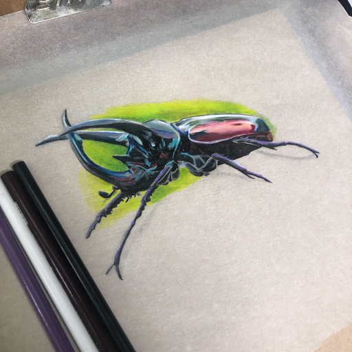 Explore stingray tattoo ideas, creative tattoo ideas in Saint Petersburg, available at Cthulhu Tattoo & Body Piercing