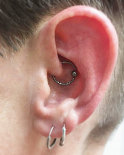 Body Piercing Shop «Skin Gallery Tattooing & Body Piercing», reviews and photos, 1402 Ogden Ave, Downers Grove, IL 60515, USA