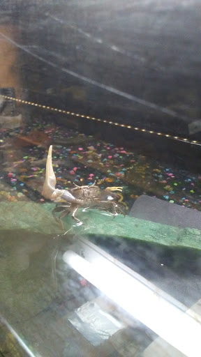 Pet Store «Pets Plus», reviews and photos, 5054 Old Taylor Mill Rd, Taylor Mill, KY 41015, USA