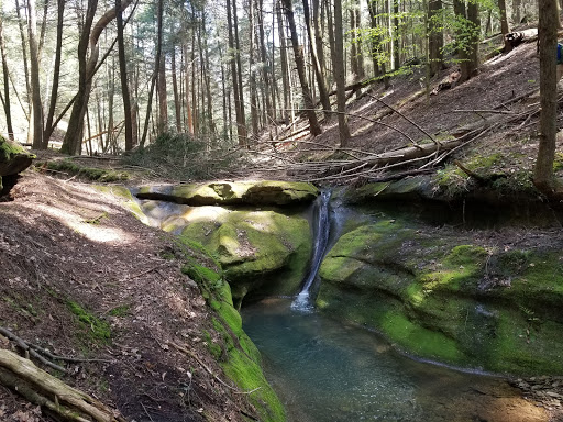 Tourist Attraction «High Rock Adventures - Hocking Hills Ecotours», reviews and photos, 10108 Opossum Hollow Rd, Rockbridge, OH 43149, USA