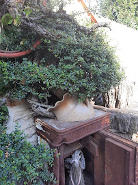 Jardin du Café Café Brocante Chez Luisa à Louan-Villegruis-Fontaine - n°10